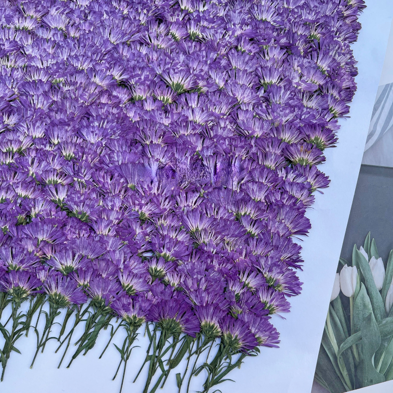 Pressed Flower Frame - 100PCS/3-6cm,Pressed Daisy Mini Flower Branch,DIY Christmas