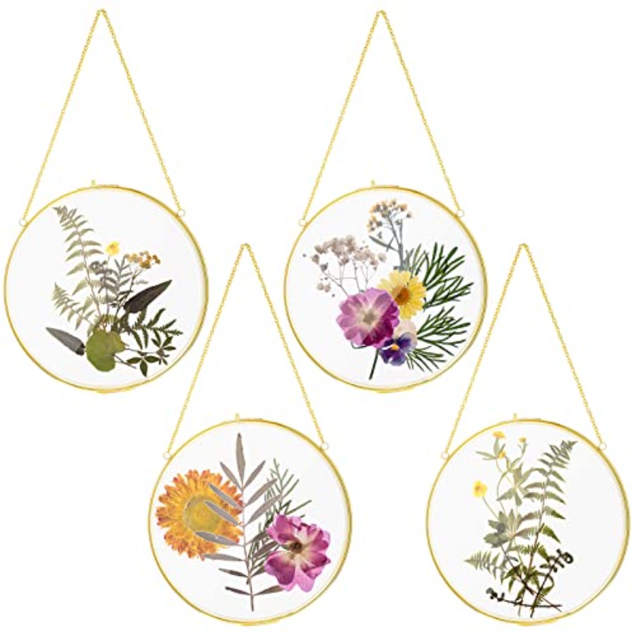 Pcs Double Glass Frame for Pre - Pressed Flower Frame avaliação e preço