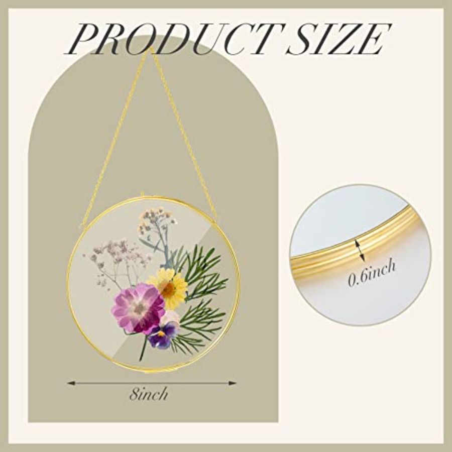 Pcs Double Glass Frame for Pre - Pressed Flower Frame avaliação e preço