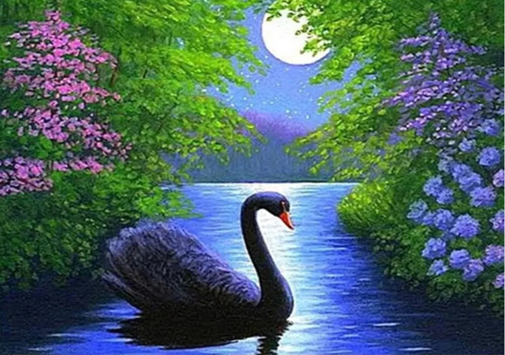 1000/500 PCS Jigsaw Black Swan - Home Decor Under 500 avaliação e preço