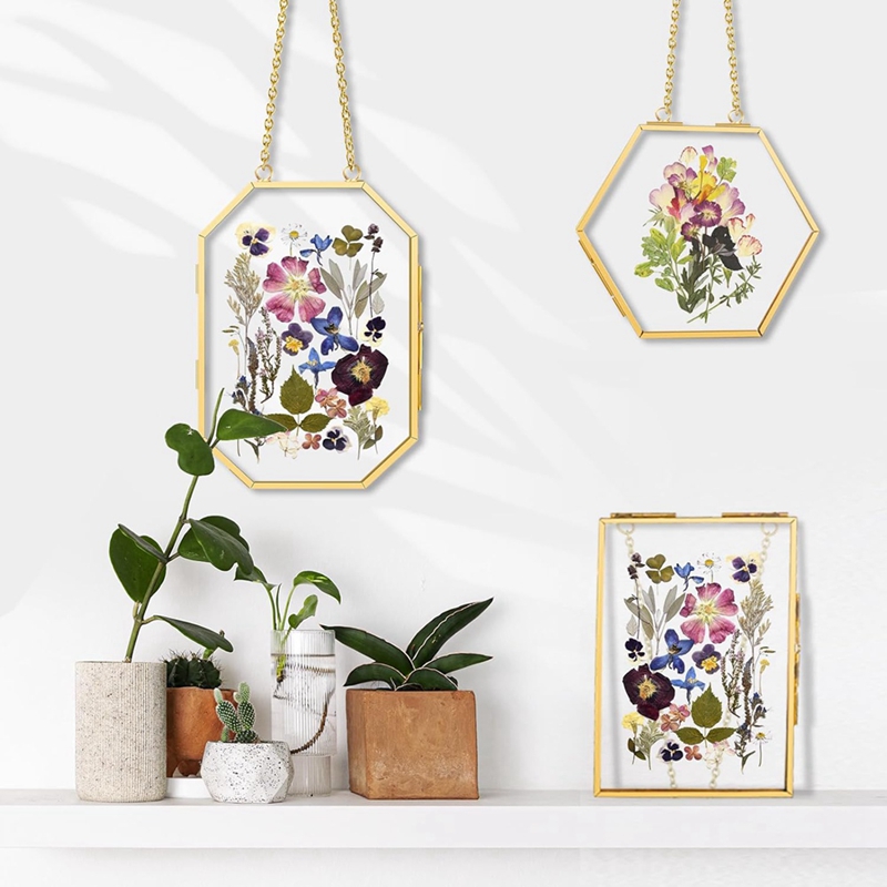 3 Pcs Pressed Flower Frames wi - Pressed Flower Frame avaliação e preço